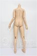 画像2: SD男の子/ボディ S-26-05-31-204-TO-ZS (2)
