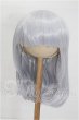 画像1: 8-9inch/ウィッグ S-26-06-14-165-YB-ZS (1)