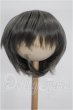 画像1: 8-9inch/ウィッグ S-26-10-04-166-YB-ZS (1)