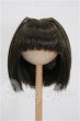 画像1: 7-8inch/ウィッグ S-26-07-12-132-YB-ZS (1)