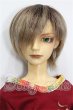 画像1: SD13男の子/トニー S-26-07-12-105-YB-ZS (1)