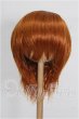 画像1: 8-9inch/ウィッグ S-26-10-04-157-YB-ZS (1)
