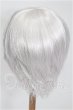 画像2: 9-10inch/ウィッグ S-26-07-12-338-YB-ZS (2)