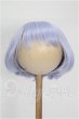 画像1: 8-9inch/ウィッグ S-26-08-16-248-TO-ZS (1)