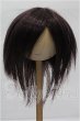 画像1: 8-9inch/ウィッグ S-26-08-16-242-YB-ZS (1)