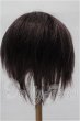 画像2: 8-9inch/ウィッグ S-26-08-16-242-YB-ZS (2)
