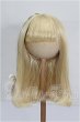 画像1: 8-9inch/ウィッグ S-26-10-04-164-TO-ZS (1)