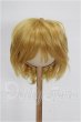 画像1: 9-10inch/ウィッグ S-26-09-20-350-TO-ZS (1)
