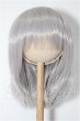 画像1: 8-9inch/ウィッグ S-26-09-20-298-YB-ZS (1)