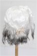 画像2: 7-8inch/ウィッグ S-26-10-04-170-YB-ZS (2)