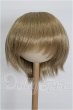 画像1: 9-10inch/ウィッグ S-26-10-11-339-TO-ZS (1)
