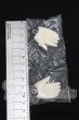画像2: MSD/ハンドパーツ S-26-10-11-120-TO-ZS (2)