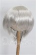 画像1: 9-10inch/ウィッグ S-26-10-11-347-TO-ZS (1)