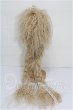 画像2: 9-10inch/ウィッグ S-26-10-25-224-YB-ZS (2)