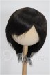 画像1: 8-9inch/ウィッグ S-26-10-25-219-YB-ZS (1)