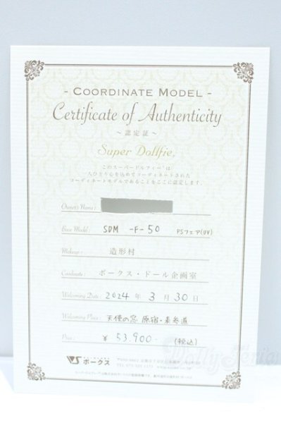 画像9: SDM女の子/コーディネートモデルF-50 S-25-09-14-001-YB-ZS (9)