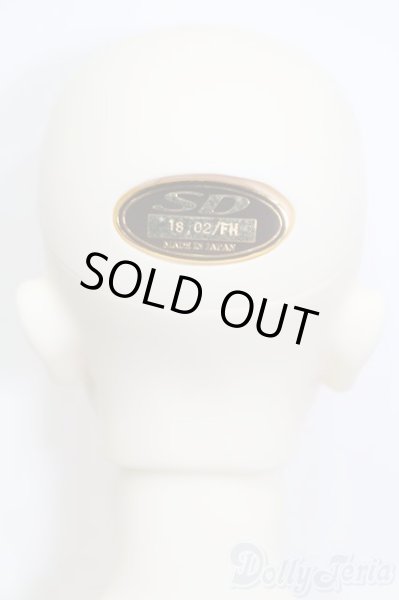 画像4: SDGrB/フルチョイス SD-F-38 S-25-10-05-450-GN-ZS (4)