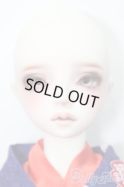 画像2: SD13/ワンオフモデル:F-109 S-24-12-01-002-GN-ZS (2)