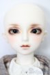 画像2: SDMB/コーディネートモデル：F35 S-25-02-23-002-YB-ZS (2)
