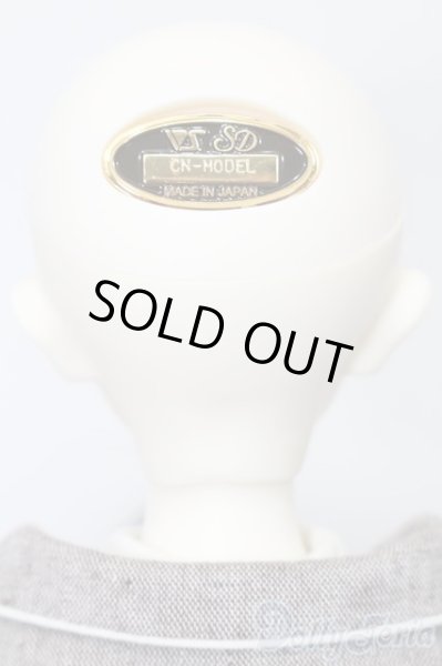 画像5: SDMB/コーディネートモデル：F35 S-25-02-23-002-YB-ZS (5)