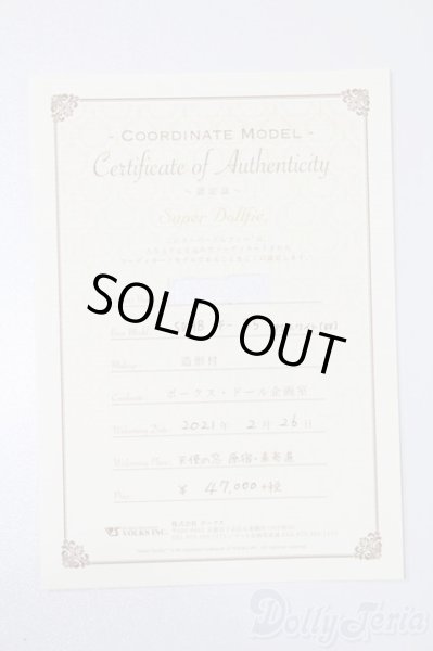 画像9: SDMB/コーディネートモデル：F35 S-25-02-23-002-YB-ZS (9)