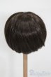 画像2: 8inch/ウィッグ S-25-03-02-369-GN-ZS (2)