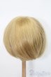 画像2: 9-10inch/ウィッグ S-25-03-23-393-GN-ZS (2)