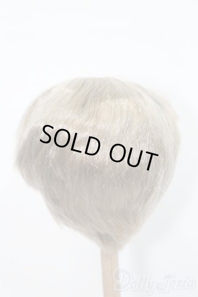 画像2: 8-9inch/ウィッグ S-25-10-19-389-GN-ZS (2)