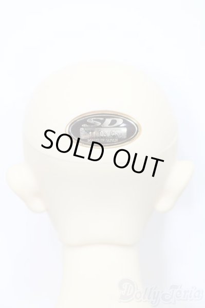 画像5: SD17BOY/レイズナー:The Desire for Revenge 東京湾クルーズ2011限定発売 S-24-12-15-012-YB-ZS (5)