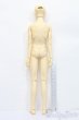 画像7: SD17BOY/レイズナー:The Desire for Revenge 東京湾クルーズ2011限定発売 S-24-12-15-012-YB-ZS (7)