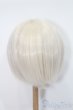 画像2: 8-9inch/ウィッグ S-25-04-13-358-GN-ZS (2)