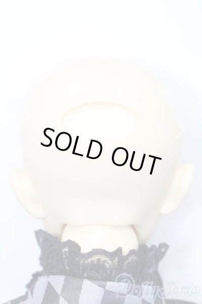 画像5: SD13BOY/教室Ａヘッド+13BOY分割ボディ S-24-12-15-151-GN-ZS (5)