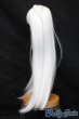 画像2: 9-10inch/ウィッグ S-25-03-23-397-GN-ZS (2)