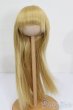 画像1: 8inch/ウィッグ S-25-05-04-262-GN-ZS (1)