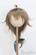 画像1: 9inch/ウィッグ S-25-03-23-370-GN-ZS (1)