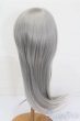 画像2: 9-10inch/ウィッグ S-25-03-23-399-GN-ZS (2)