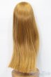 画像2: 9-10inch/ウィッグ S-25-03-23-366-GN-ZS (2)