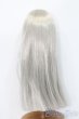 画像2: 9-10inch/ウィッグ S-25-03-23-378-GN-ZS (2)