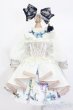 画像1: MSD/OF:Astrantia様製Botanical Books Dress Set S-25-02-18-321-GN-ZS (1)
