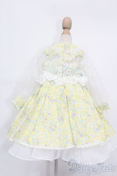 画像3: SDM&MSD/OF:CHARME(シャルム)様製ドレス S-25-09-14-430-GN-ZS (3)