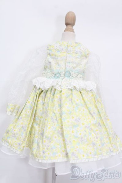 画像3: SDM&MSD/OF:CHARME(シャルム)様製ドレス S-25-09-14-429-GN-ZS (3)