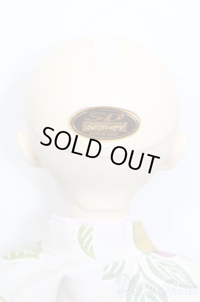 画像6: SD13女の子/シンディ:ワンオフモデル Yui様メイク S-25-01-19-154-GN-ZS (6)