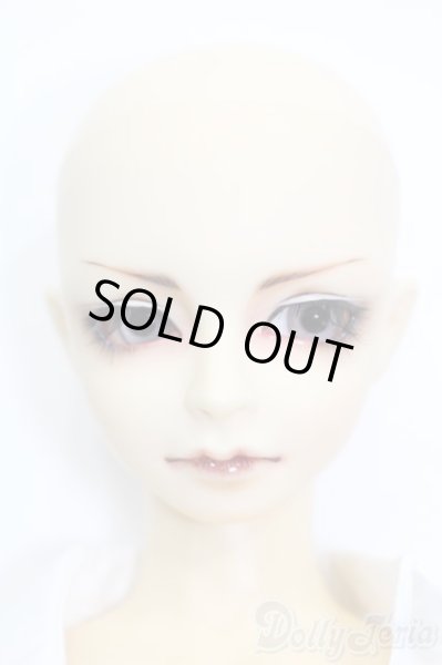 画像2: SD13BOY/DWC #01ヘッド+13BOY分割ボディ S-25-04-20-566-GN-ZS (2)