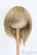 画像1: 7-8inch/ウィッグ S-25-03-09-314-YB-ZS (1)
