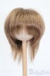 画像1: 7-8inch/ウィッグ S-25-03-09-307-YB-ZS (1)