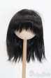 画像1: 8-9inch/ウィッグ S-25-03-09-352-YB-ZS (1)