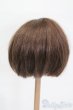 画像2: 9-10inch/ウィッグ S-25-03-04-319-YB-ZS (2)