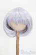 画像1: 9-10inch/ウィッグ S-25-03-23-351-YB-ZS (1)
