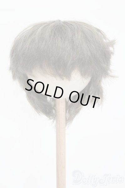 画像1: 8.5-9inch/ウィッグ S-25-12-14-306-GN-ZS (1)