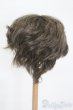 画像2: 8.5-9inch/ウィッグ S-25-03-23-317-GN-ZS (2)
